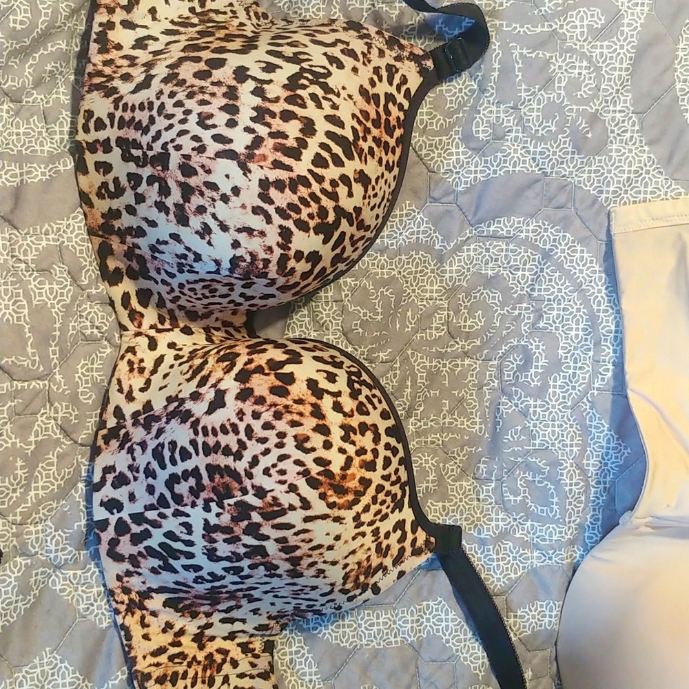 Torrid 38D curve bra